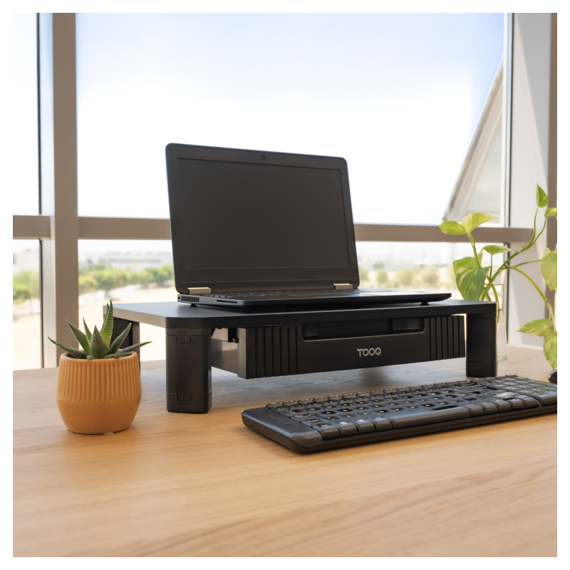 TooQ TQMMPD02 soporte para monitor Escritorio